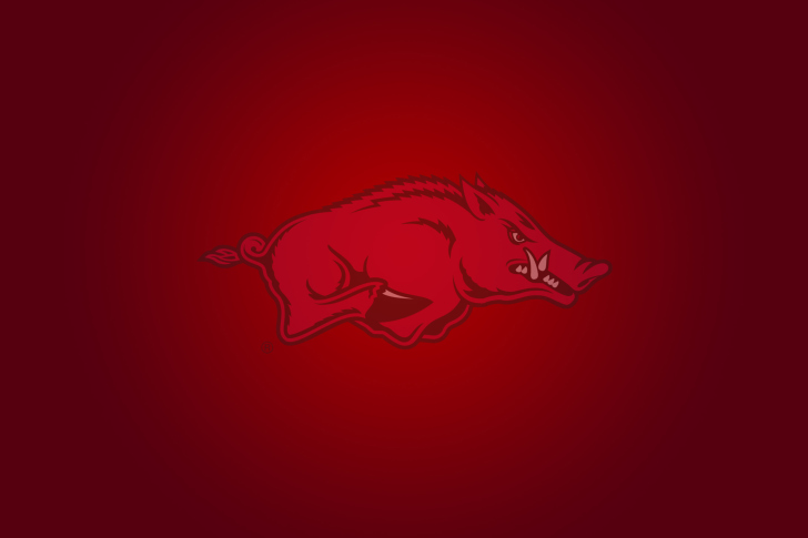 Обои Arkansas Razorbacks