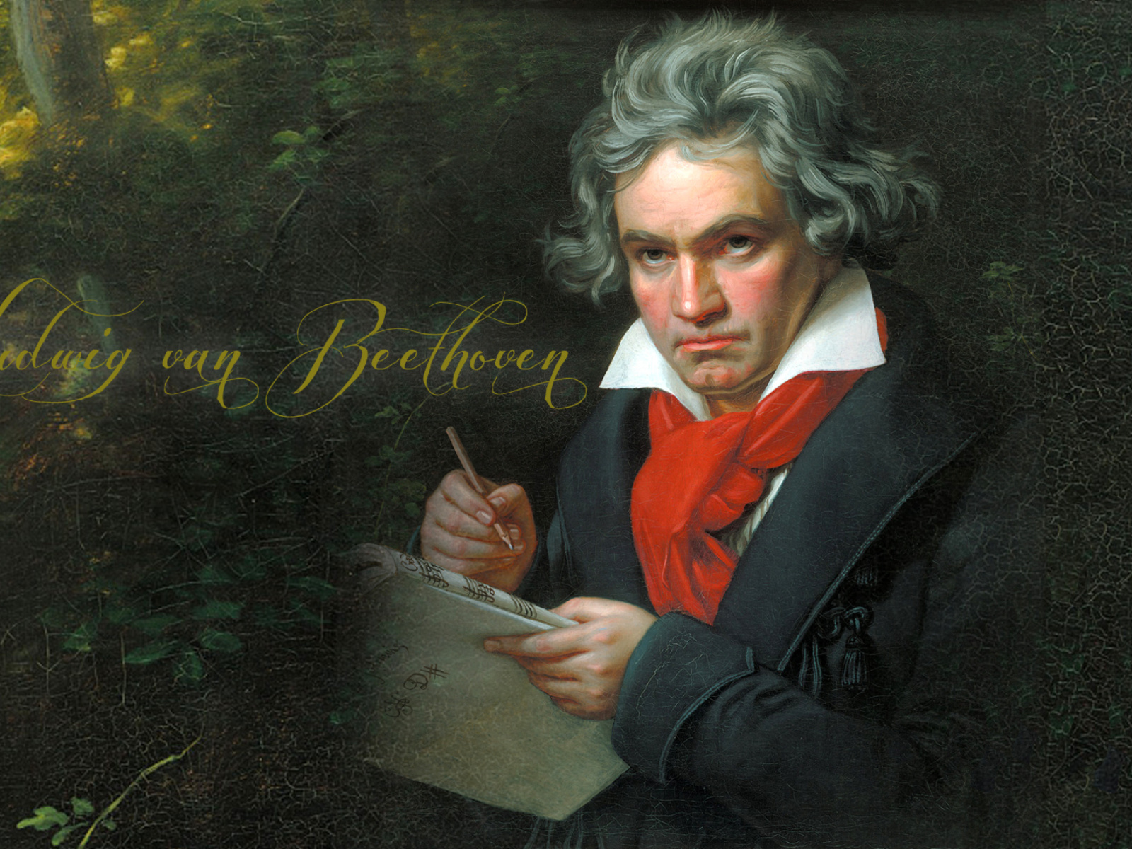 Обои Ludwig Van Beethoven 1600x1200