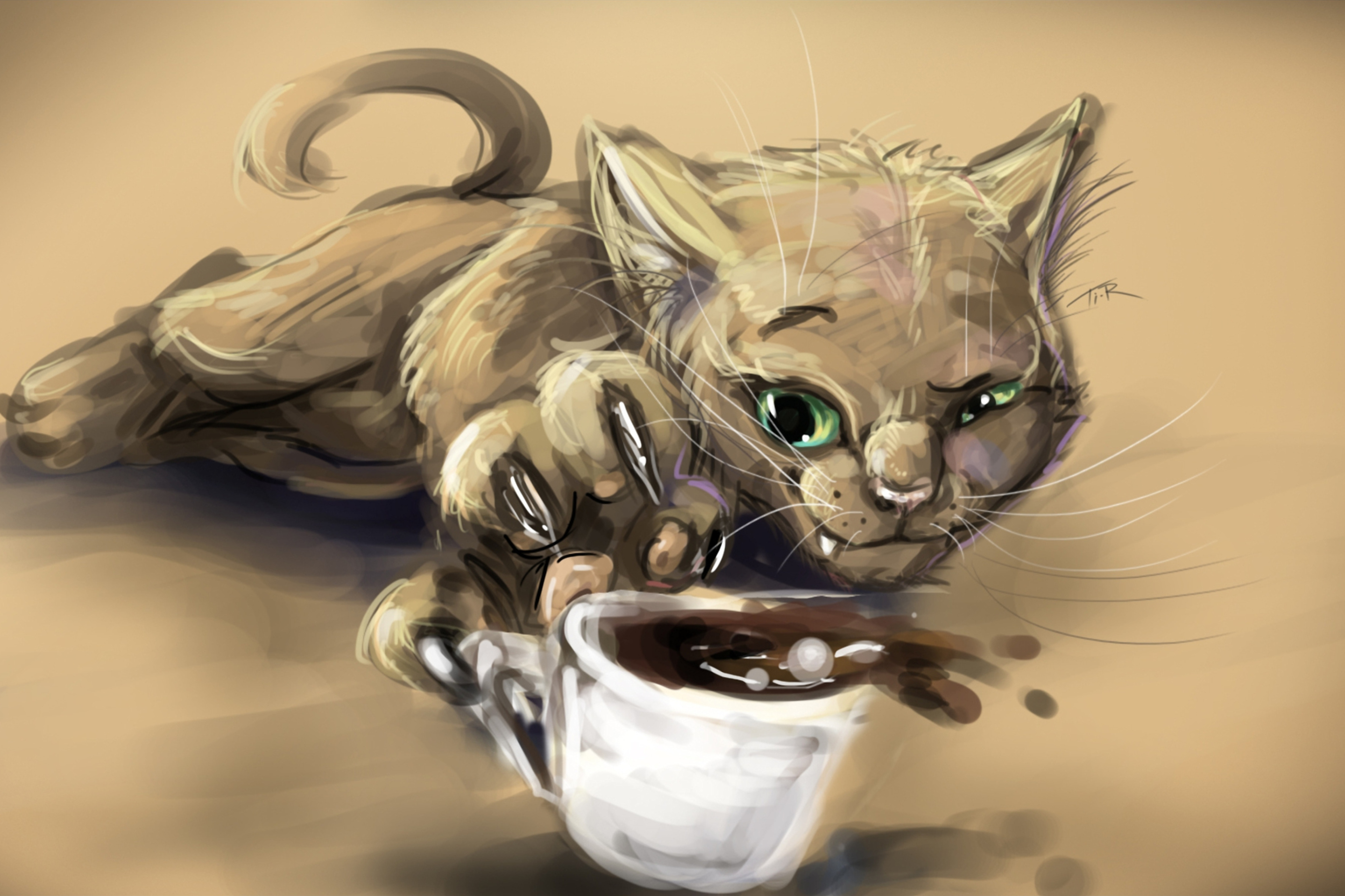Sfondi Sketch Of Funny Cat 2880x1920