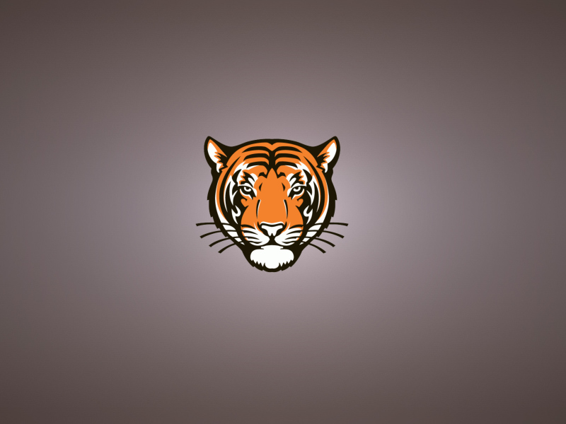 Screenshot №1 pro téma Tiger Muzzle Illustration 800x600