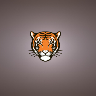 Kostenloses Tiger Muzzle Illustration Wallpaper für 2048x2048