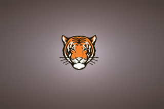 Tiger Muzzle Illustration Picture for Android, iPhone and iPad