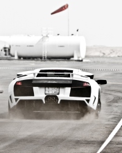 Das White Lamborghini Murcielago On Track Wallpaper 176x220