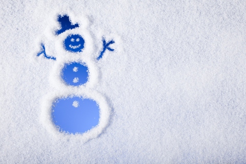 Winter, Snow And Snowman screenshot #1 480x320