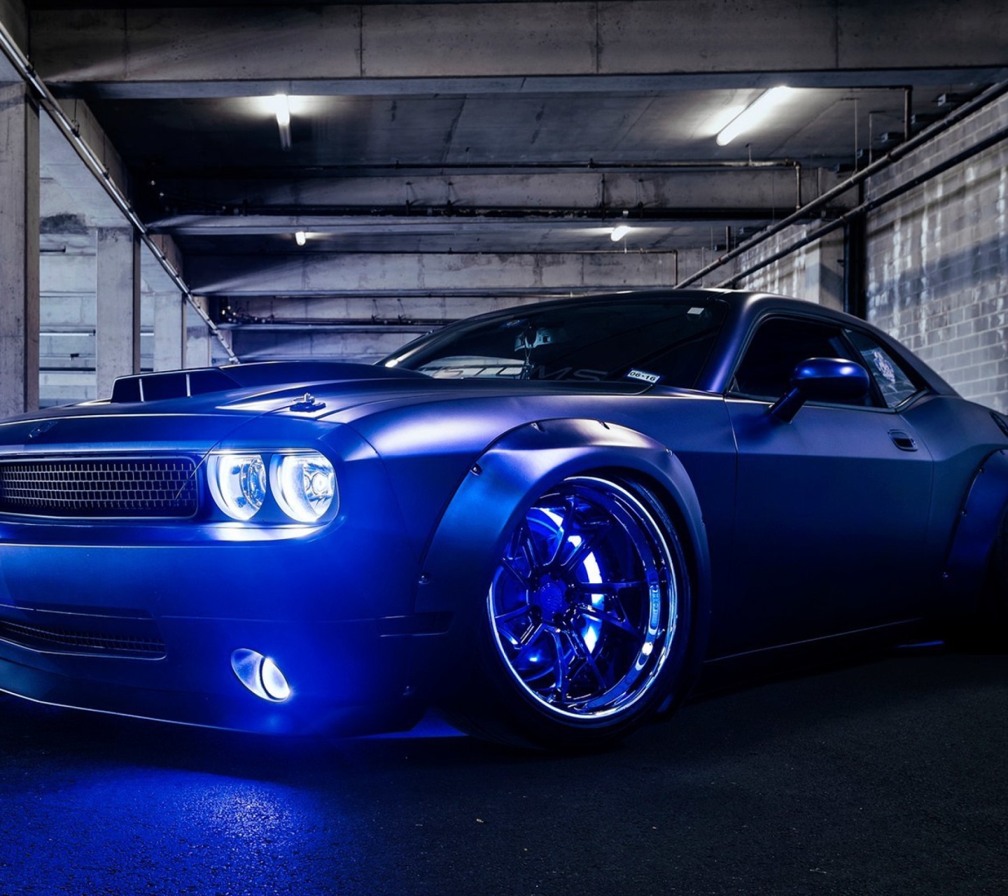 Sfondi Blue Dodge Challenger 1440x1280