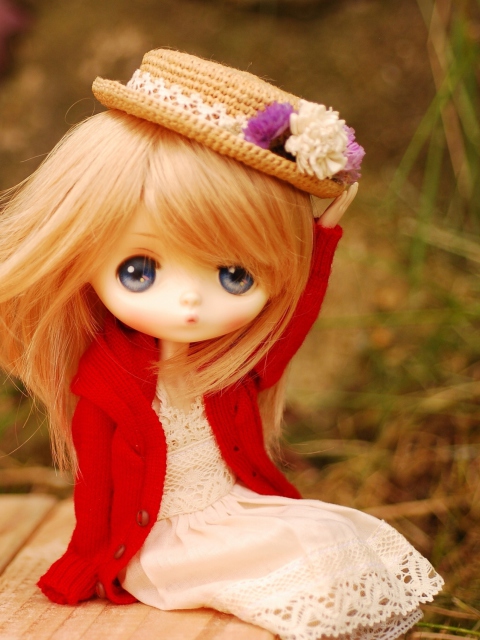 Das Blonde Doll In Romantic Dress And Hat Wallpaper 480x640