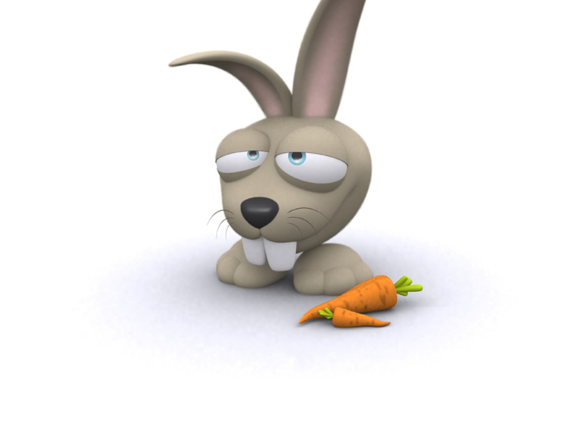 Fondo de pantalla Funny Bunny 1920x1408