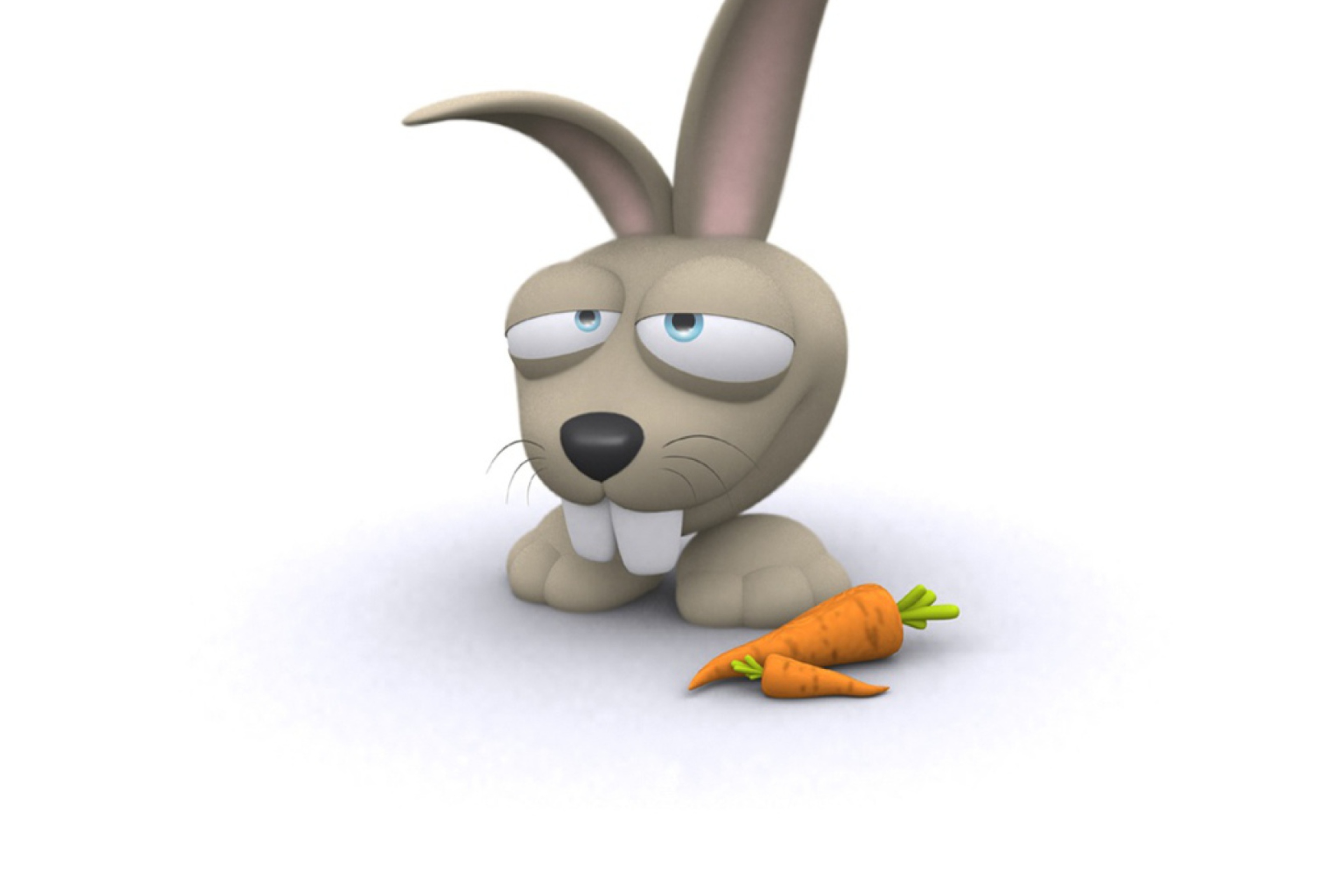 Das Funny Bunny Wallpaper 2880x1920