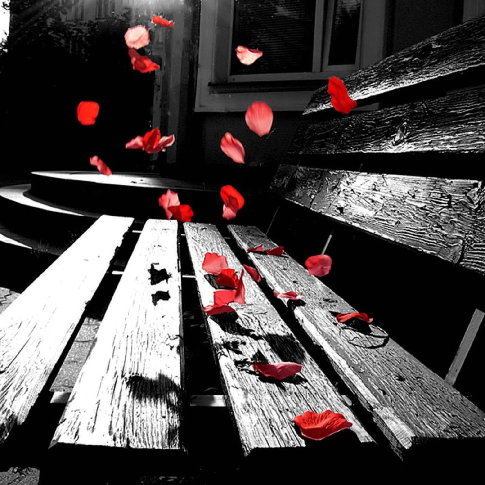 Das Romantic Red Petals Wallpaper 2048x2048
