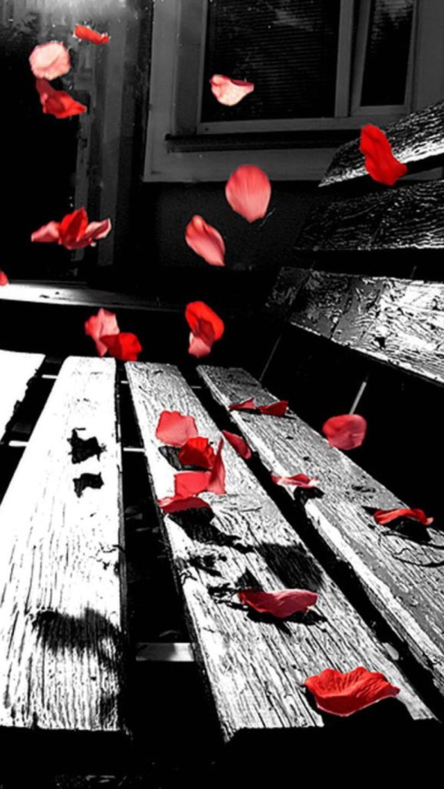 Romantic Red Petals wallpaper 640x1136