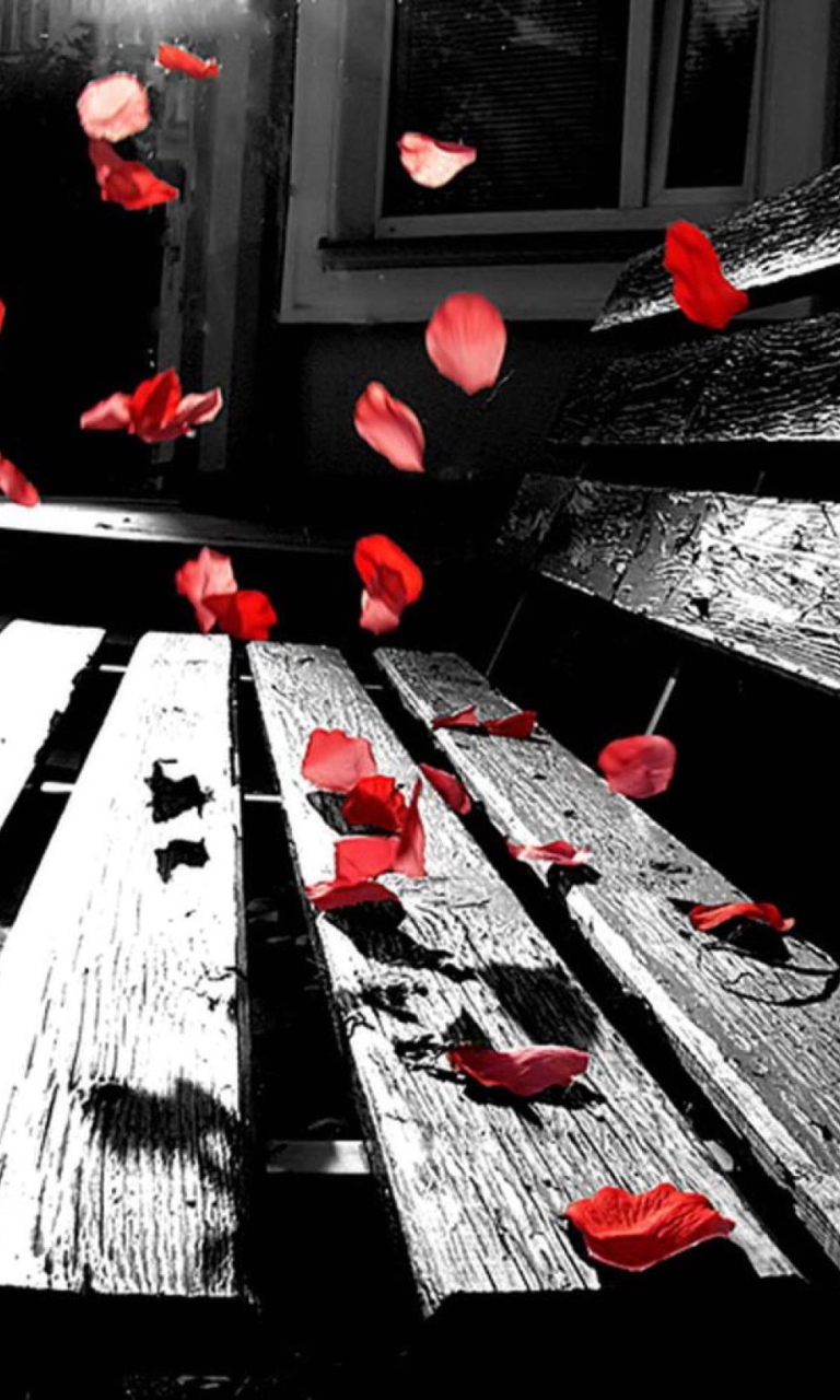 Fondo de pantalla Romantic Red Petals 768x1280