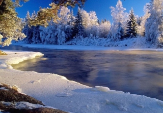 Christmas Landscape - Obrázkek zdarma pro 1024x600