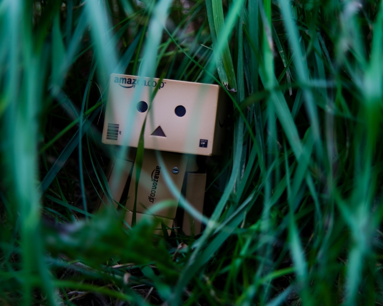 Screenshot №1 pro téma Danbo In Jungle 1280x1024