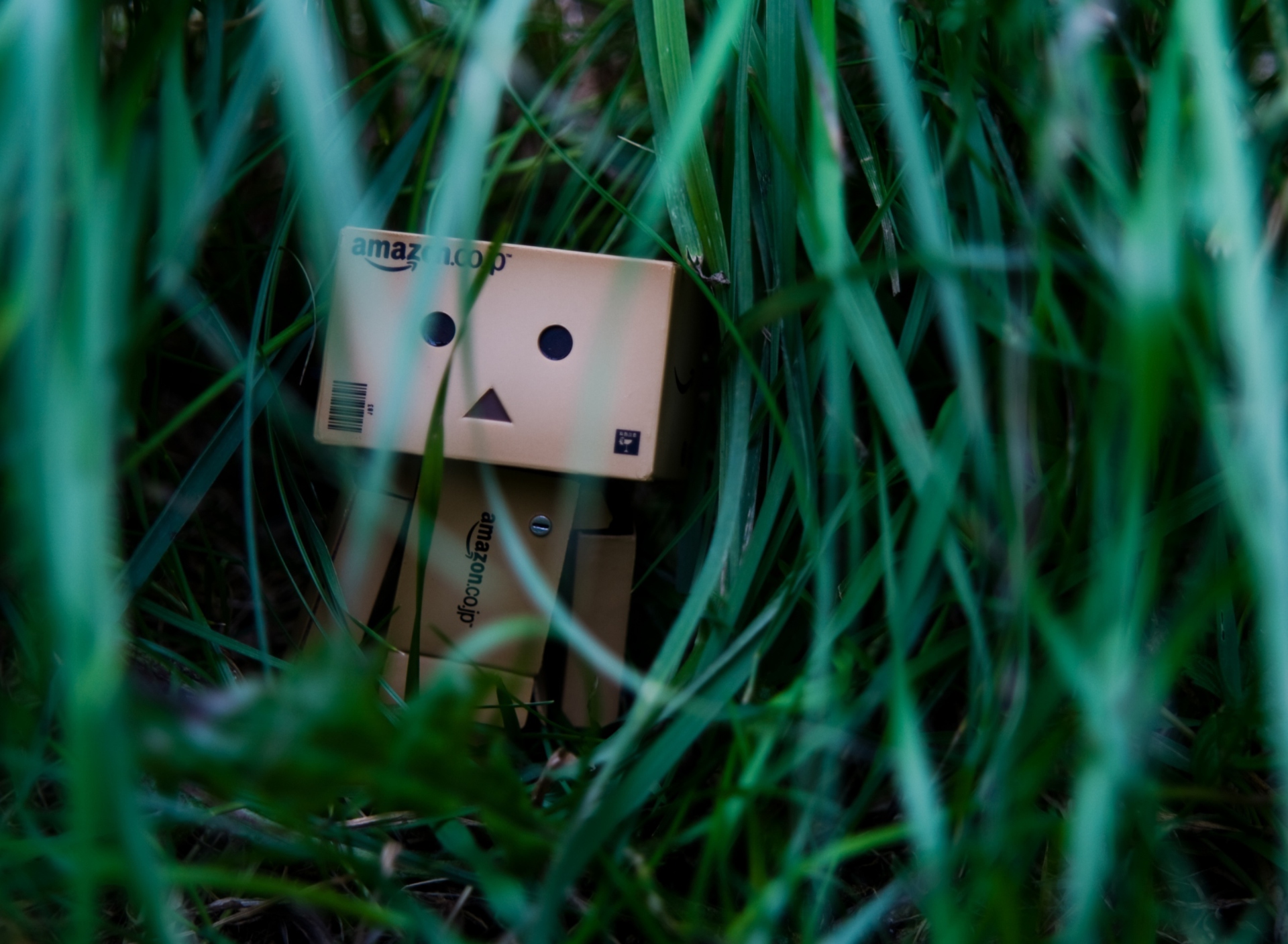 Danbo In Jungle screenshot #1 1920x1408