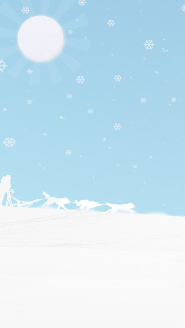 Winter White And Blue wallpaper 640x1136