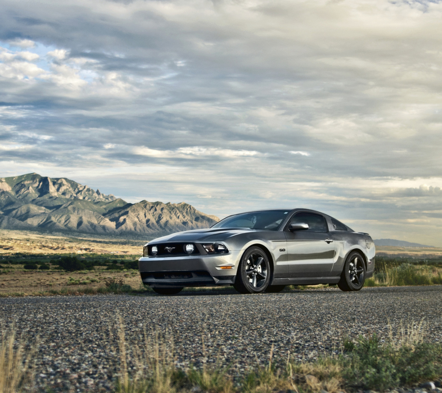 Ford Mustang 5.0 screenshot #1 1440x1280