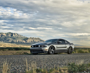 Screenshot №1 pro téma Ford Mustang 5.0 176x144