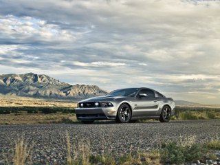 Screenshot №1 pro téma Ford Mustang 5.0 320x240