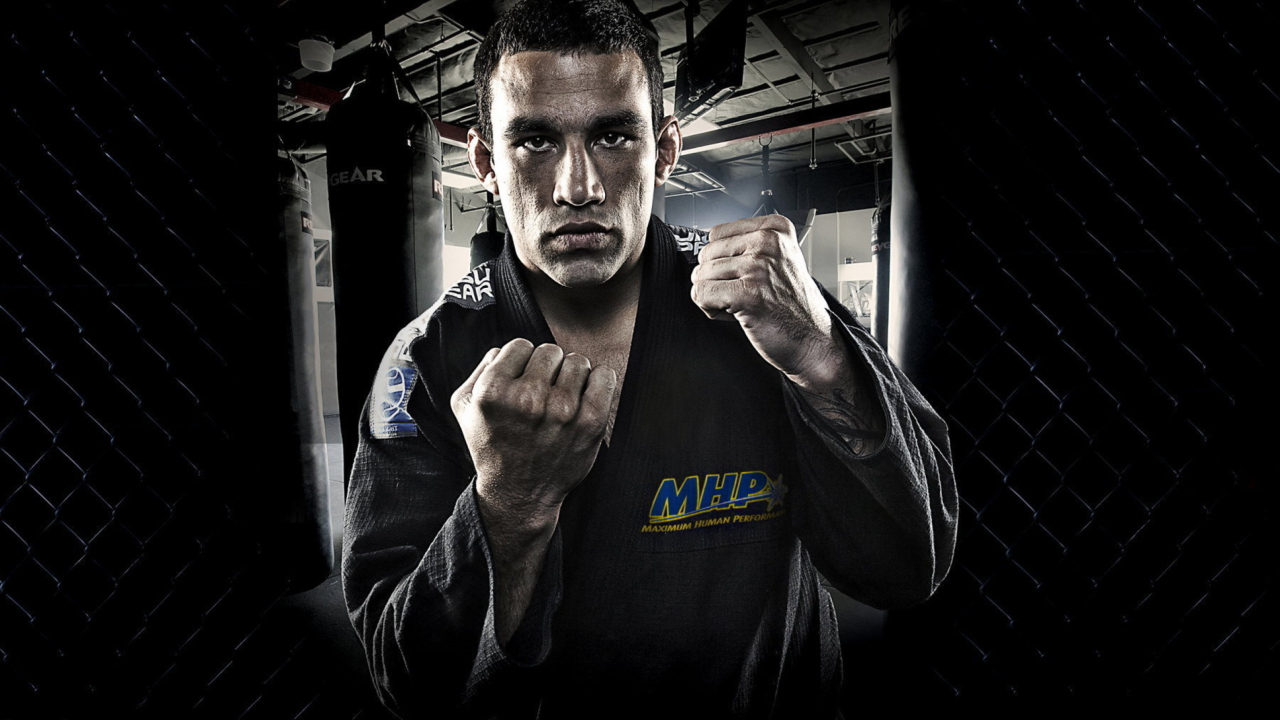 Screenshot №1 pro téma Fabricio Werdum - Mma 1280x720