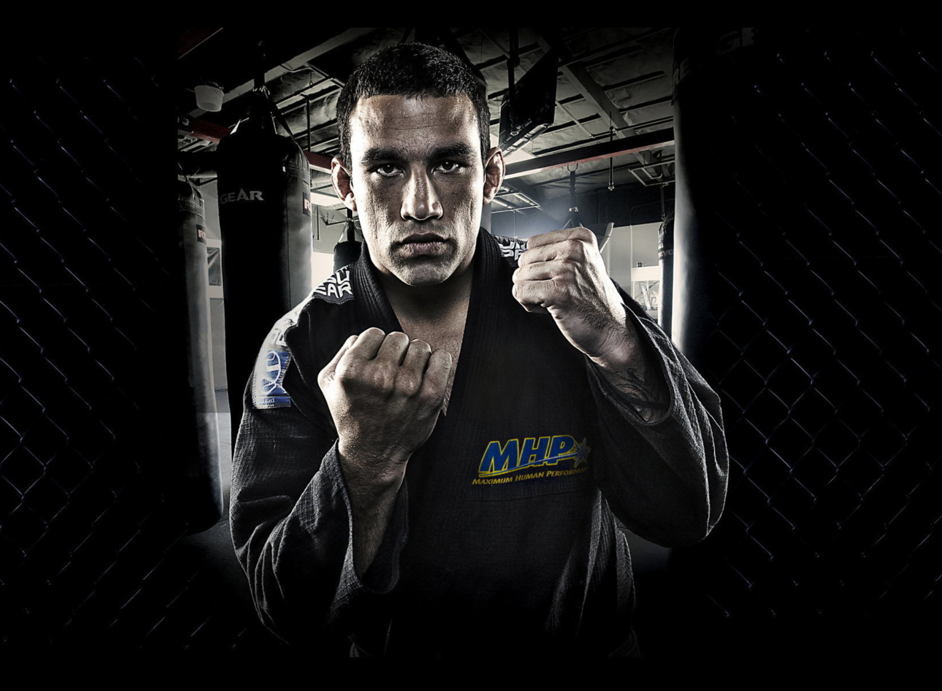 Screenshot №1 pro téma Fabricio Werdum - Mma 1920x1408