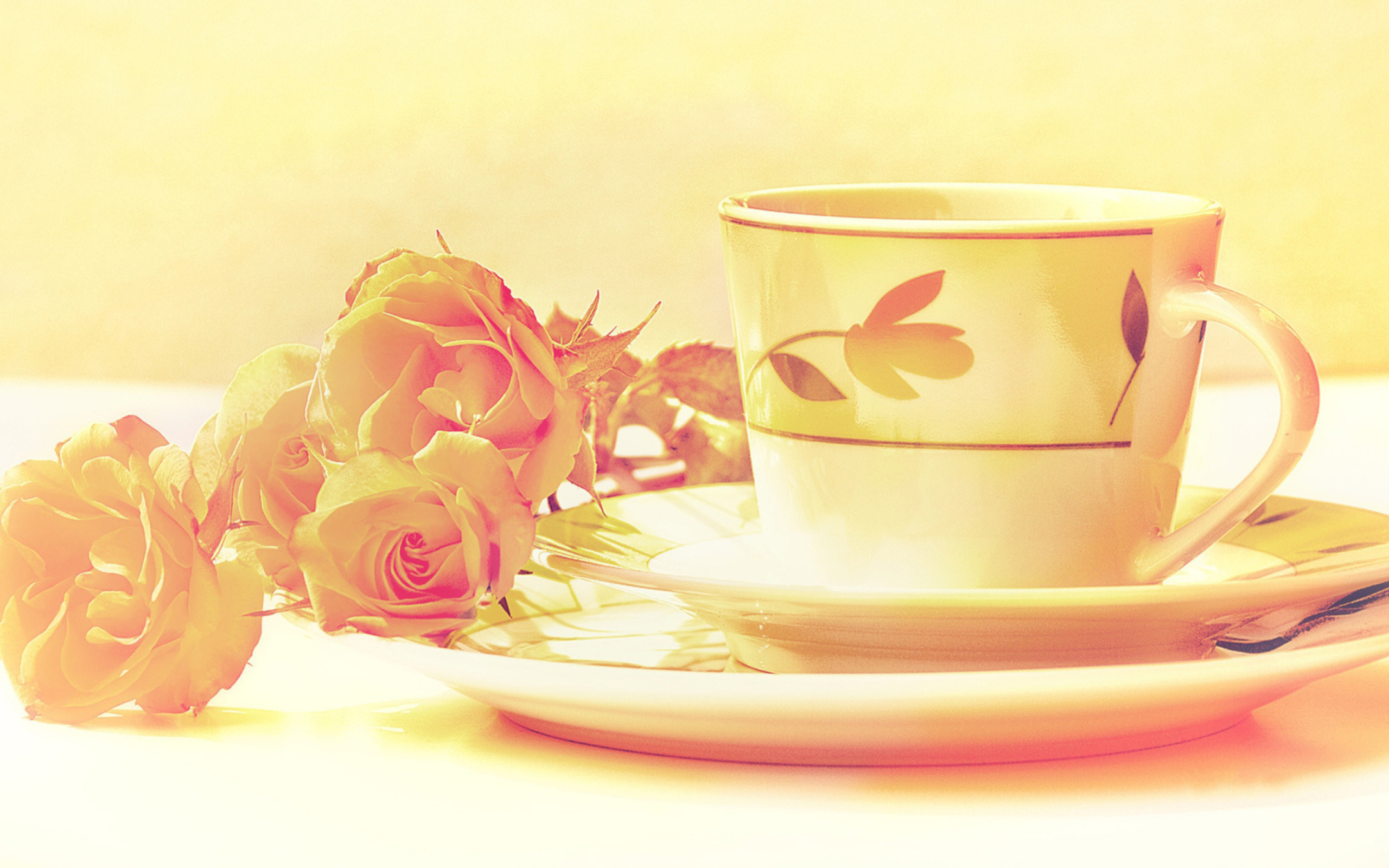 Tea And Roses wallpaper 2560x1600