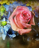 Fondo de pantalla Pink Rose And Blue Flowers 128x160