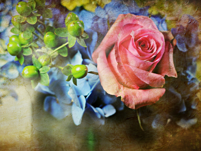 Обои Pink Rose And Blue Flowers 640x480