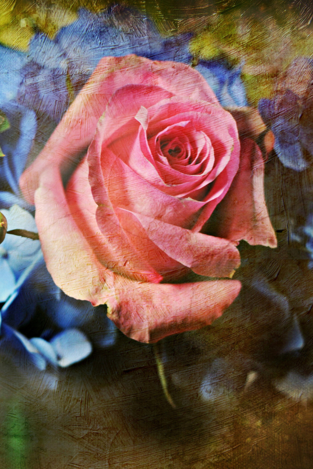 Pink Rose And Blue Flowers wallpaper 640x960