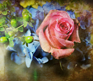 Kostenloses Pink Rose And Blue Flowers Wallpaper für iPad 2