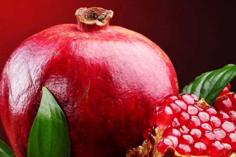 Pomegranate screenshot #1 480x320