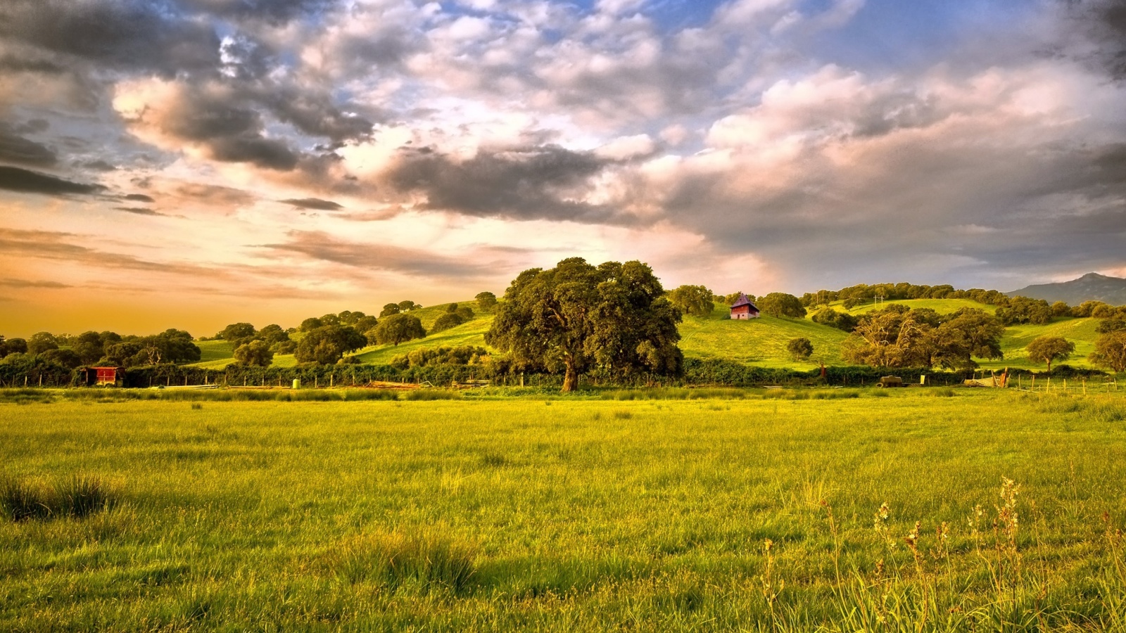 Обои Green Countryside 1600x900