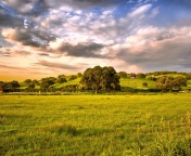 Fondo de pantalla Green Countryside 176x144