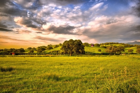 Das Green Countryside Wallpaper 480x320