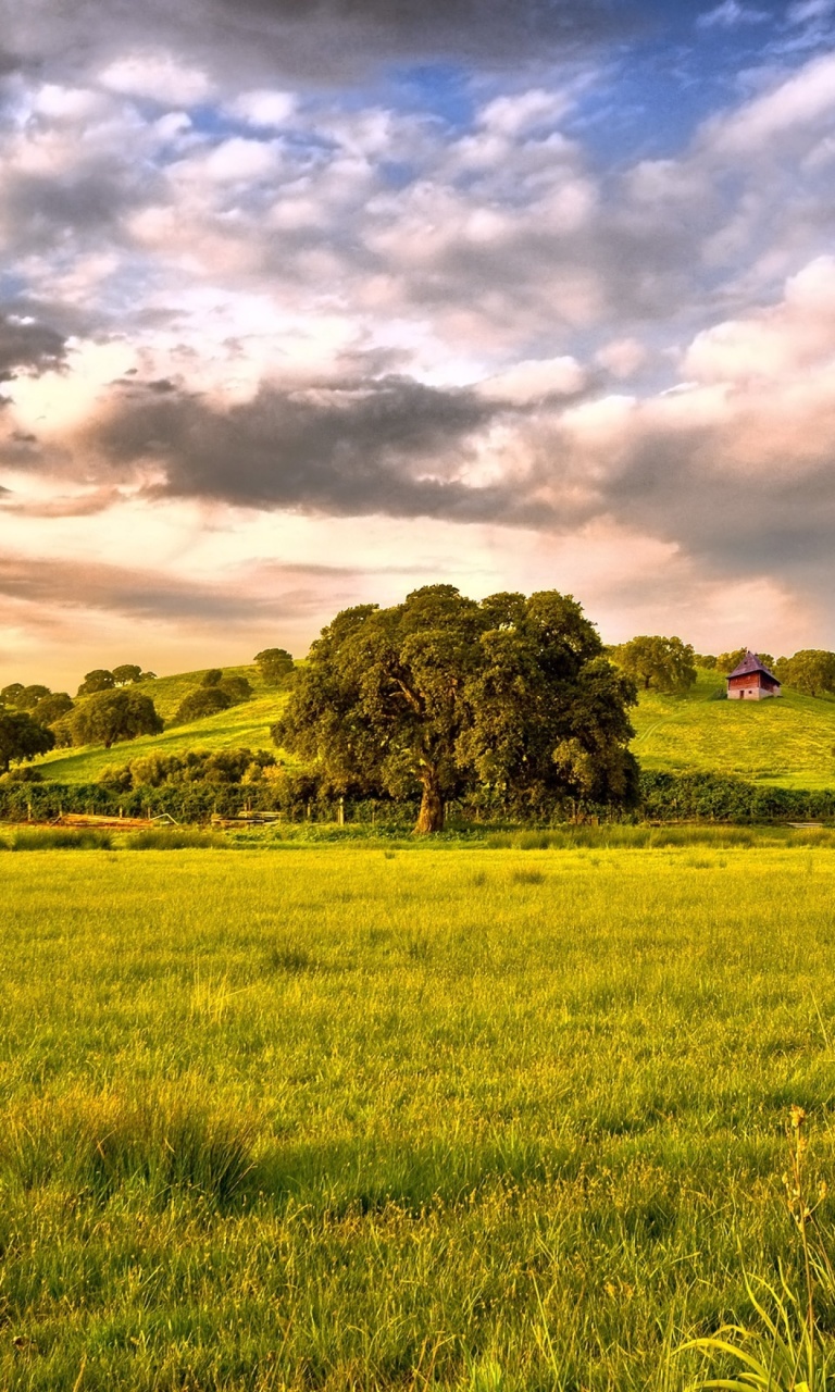 Das Green Countryside Wallpaper 768x1280