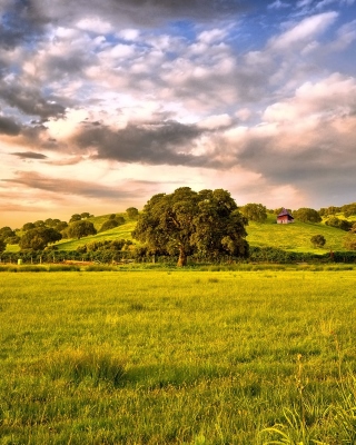 Green Countryside sfondi gratuiti per iPhone 5
