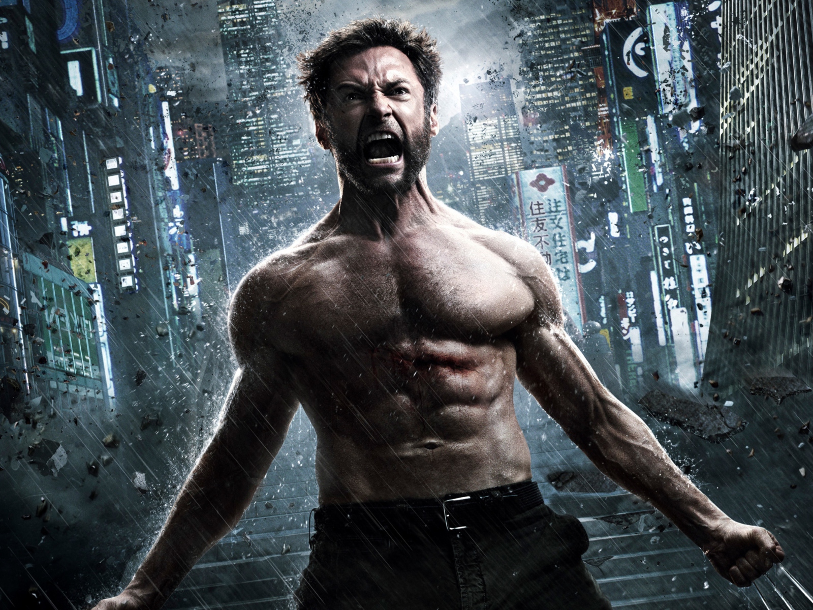The Wolverine 2013 screenshot #1 1600x1200