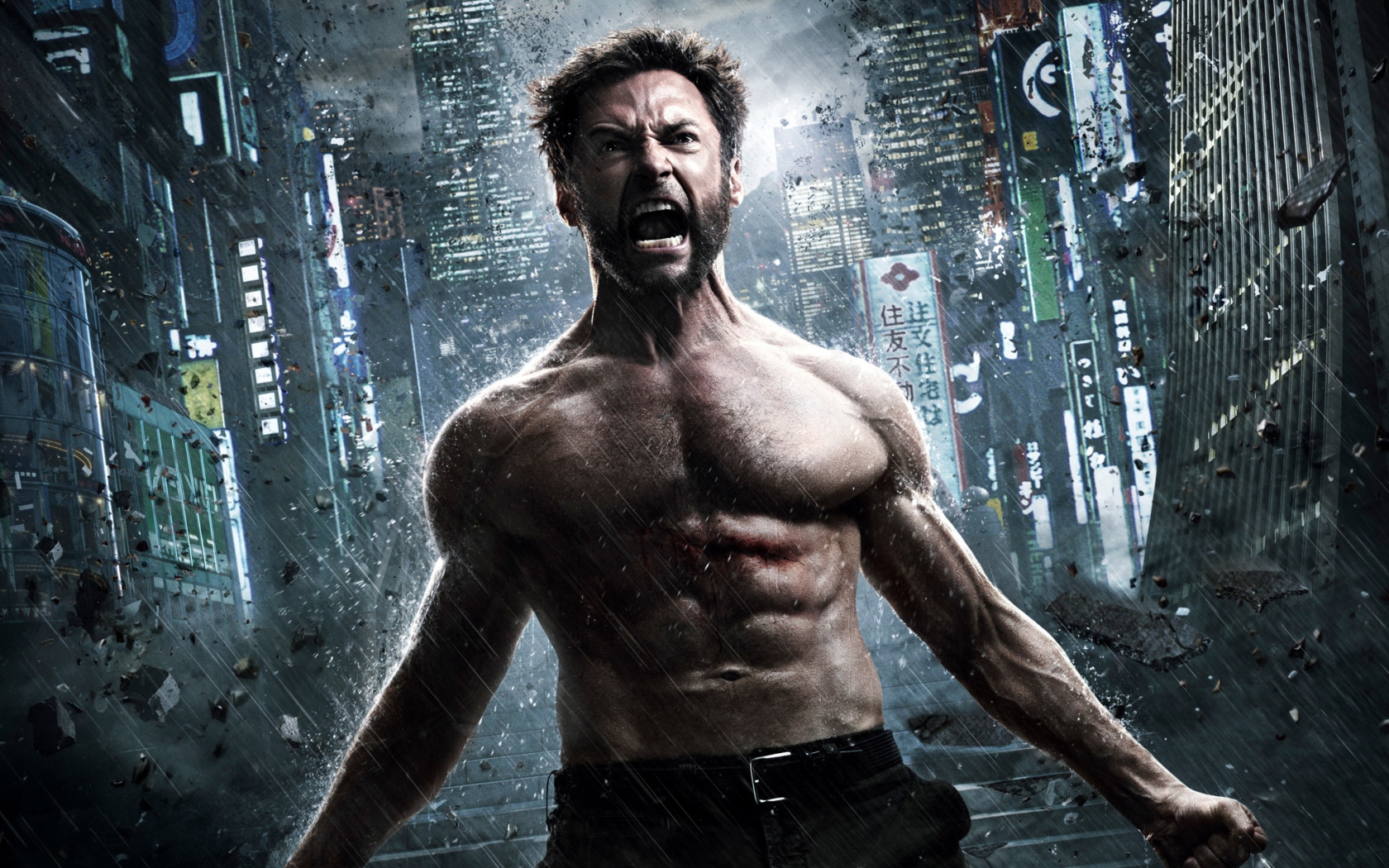 Обои The Wolverine 2013 1680x1050