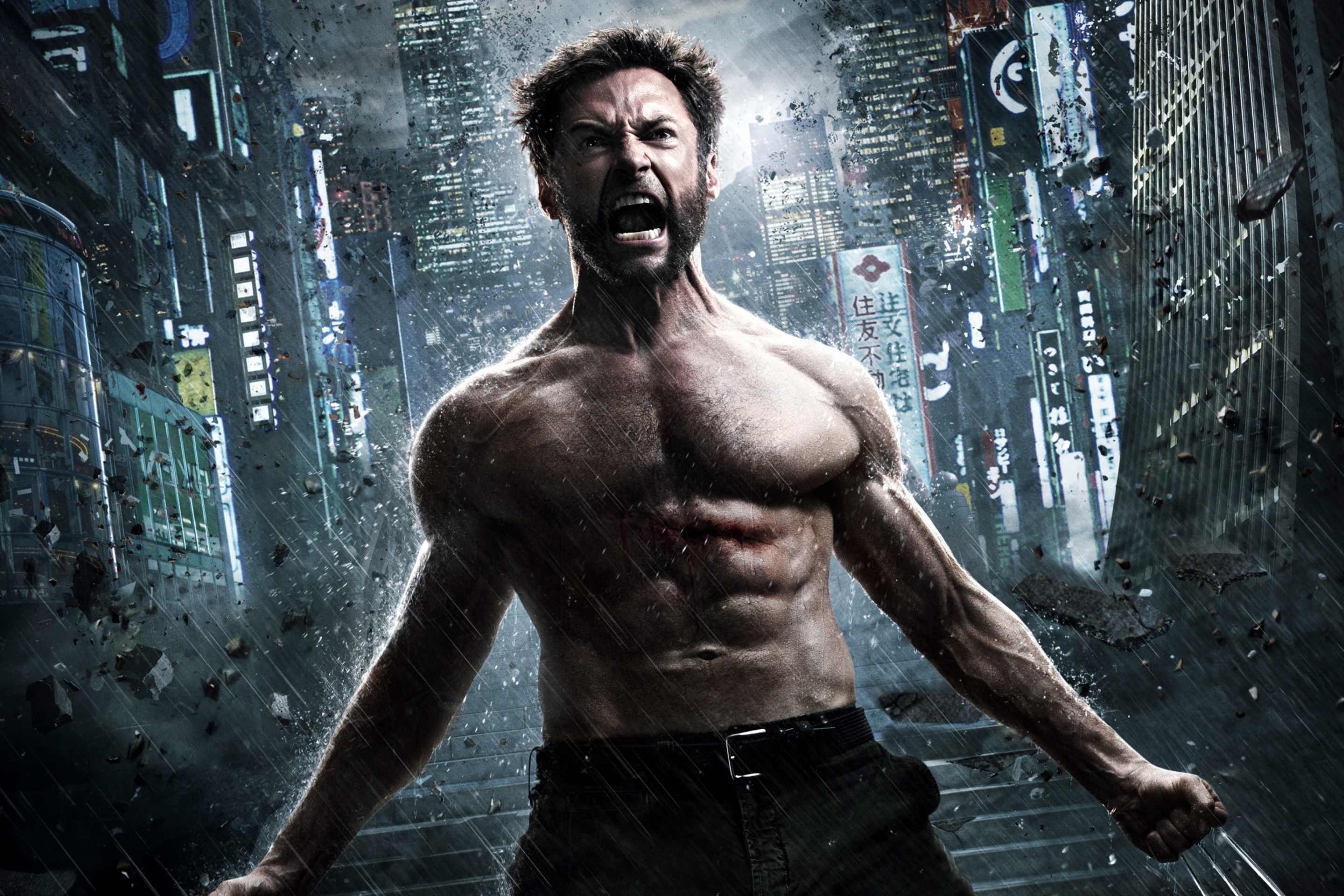 Das The Wolverine 2013 Wallpaper 2880x1920