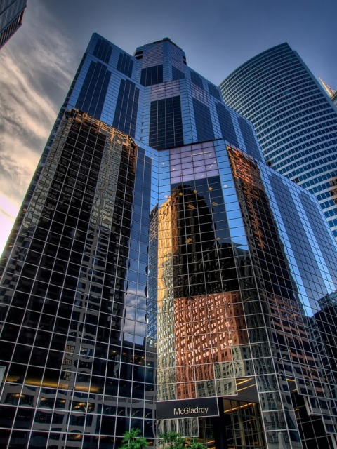 Screenshot №1 pro téma Chicago Skyscrapers 480x640