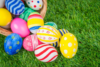 Easter Eggs and Nest Background for Android, iPhone and iPad
