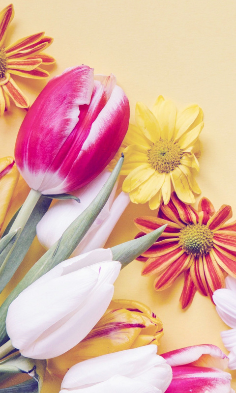 Обои Spring tulips on yellow background 480x800