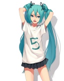 Screenshot №1 pro téma Hatsune Miku, Vocaloid 128x160