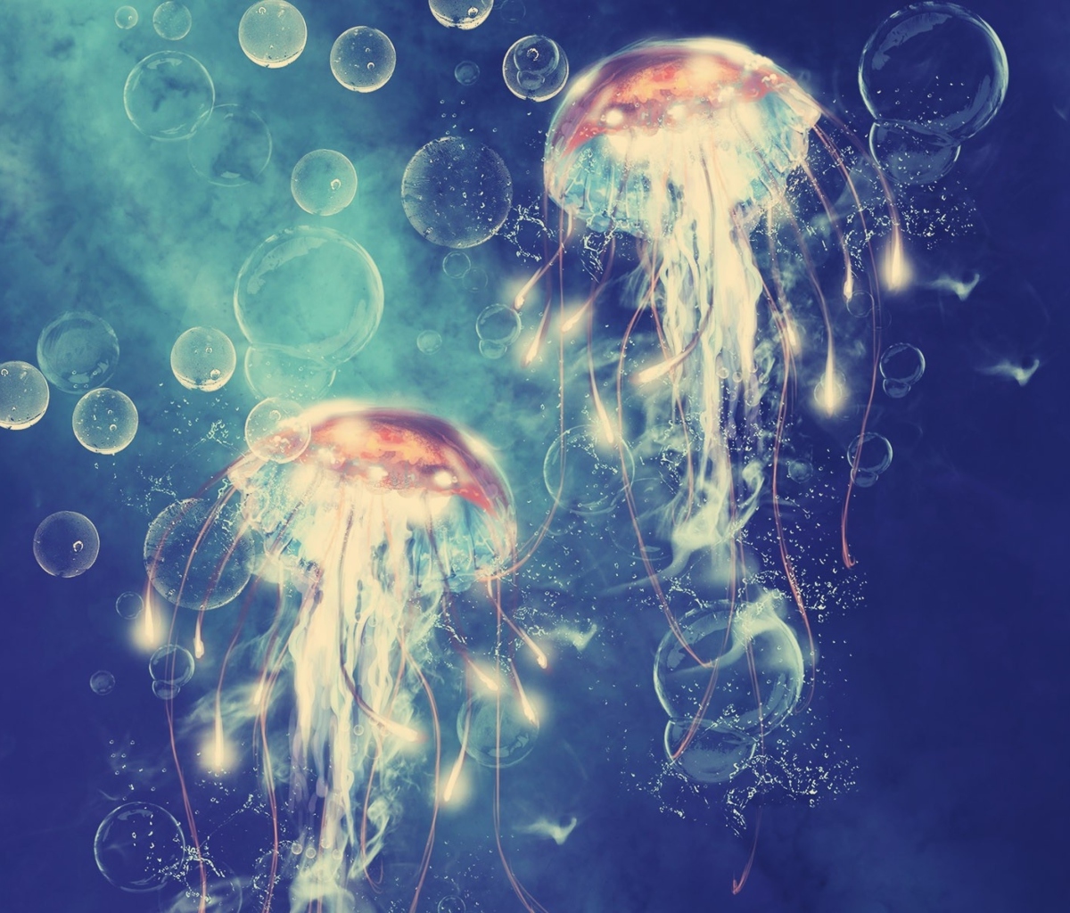 Digital Jellyfish wallpaper 1200x1024
