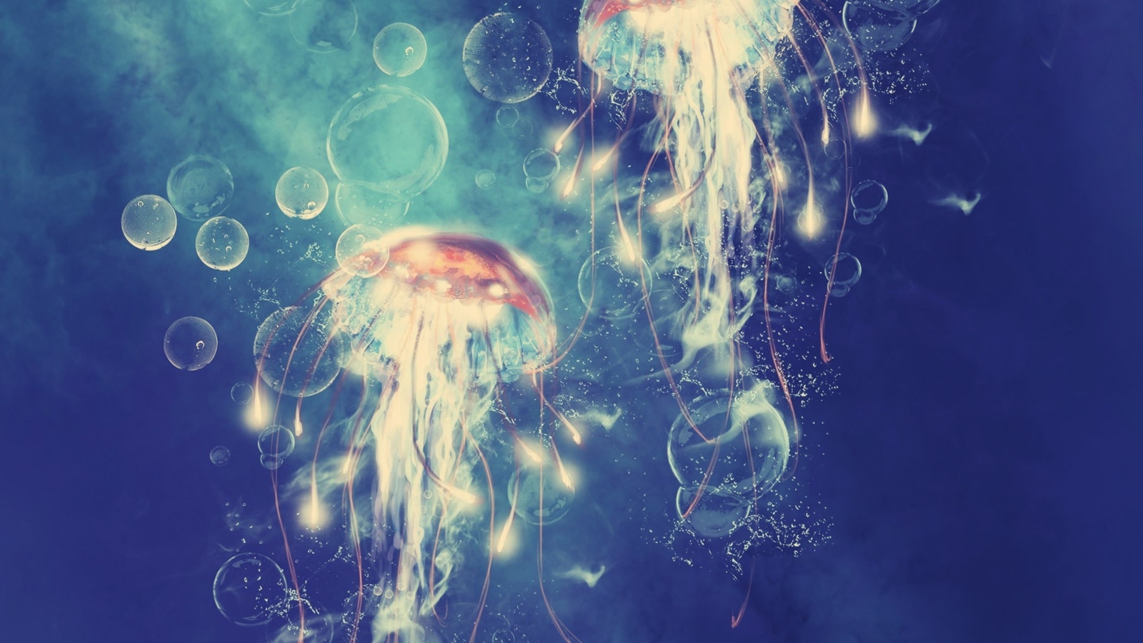 Digital Jellyfish wallpaper 1600x900