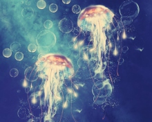 Fondo de pantalla Digital Jellyfish 220x176