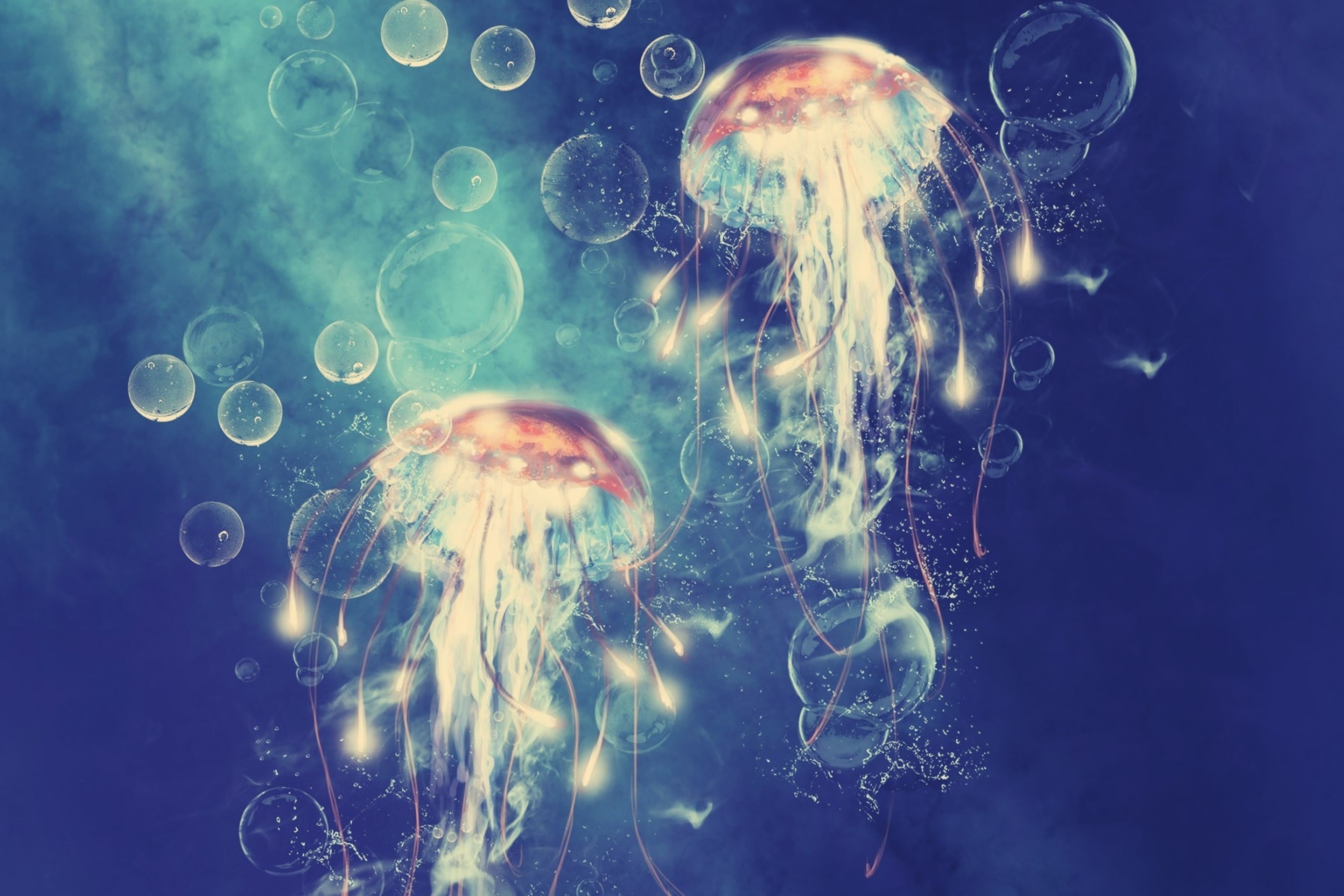 Sfondi Digital Jellyfish 2880x1920