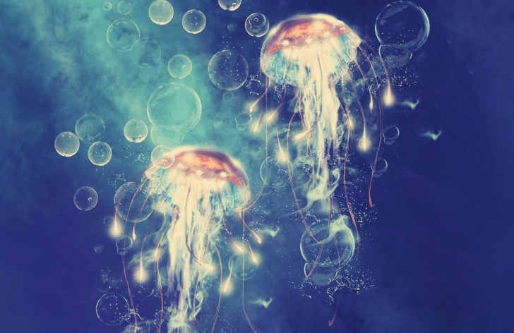 Digital Jellyfish wallpaper