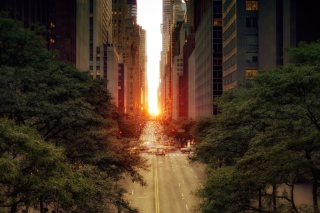 Sun Rising Over Street Picture for Android, iPhone and iPad