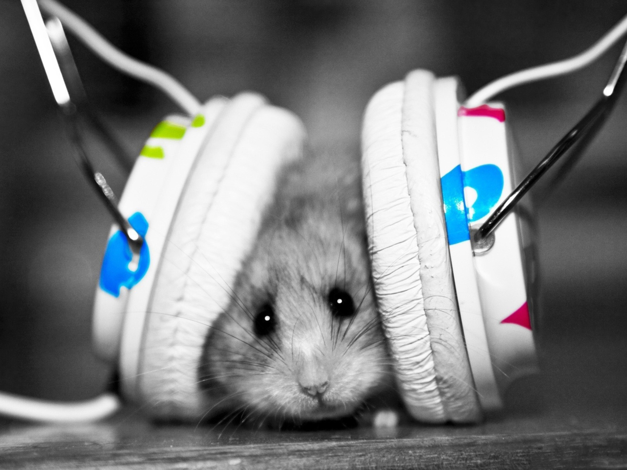 Das Dj Mouse Wallpaper 1280x960