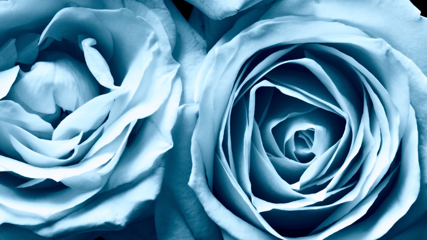 Blue Rose screenshot #1 1366x768